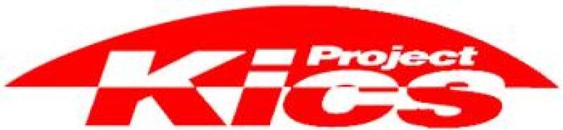 Project Kics PJK Leggdura Racing Nuts