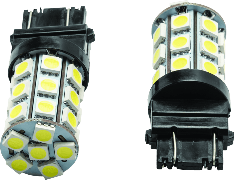 BikeMaster BKM Light Bulbs