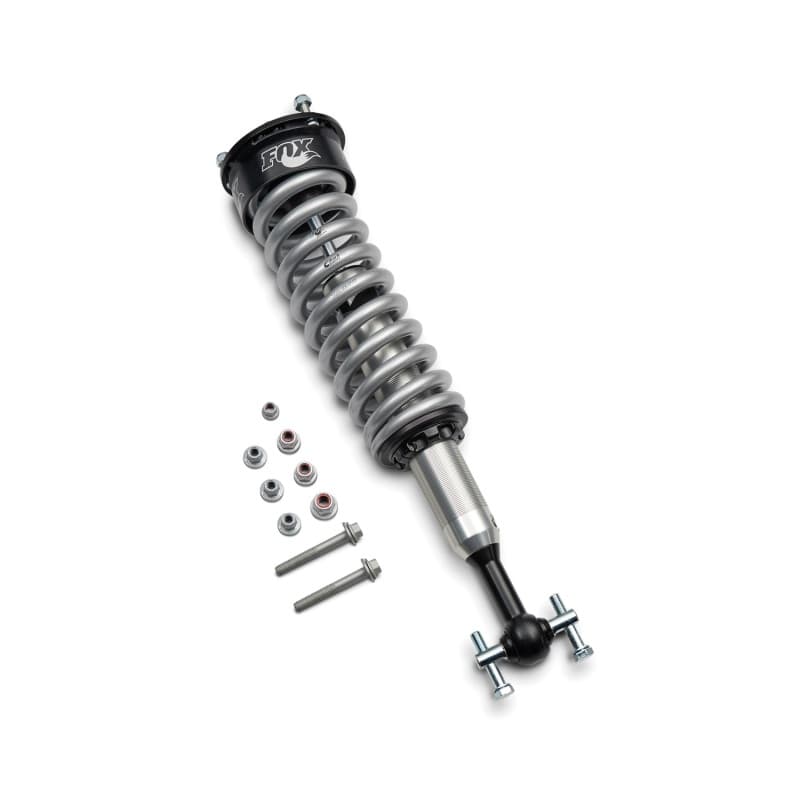 Ford Racing FR Shocks